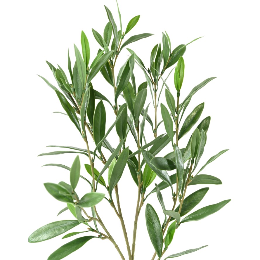 OLIVENBAUM ZWEIG PLAST UV