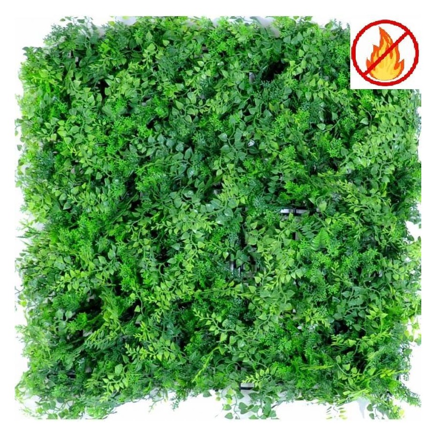 GREEN WALL MIXED FERN PANEL 50*50 FR - Fire Resistant