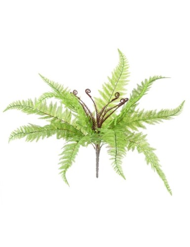 HELECHO BOSTON SIN MACETA 59