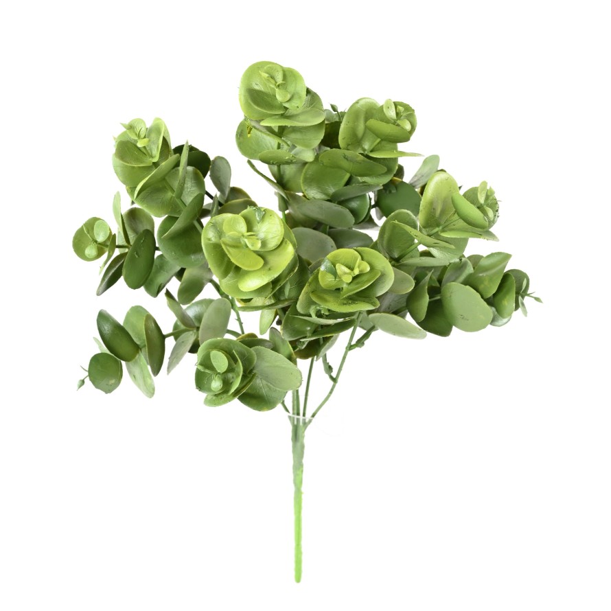 EUKALYPTUS 81 STECKSTAB 30