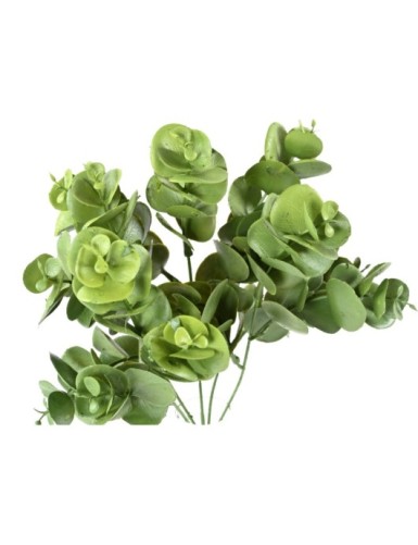 EUKALYPTUS 81 STECKSTAB 30