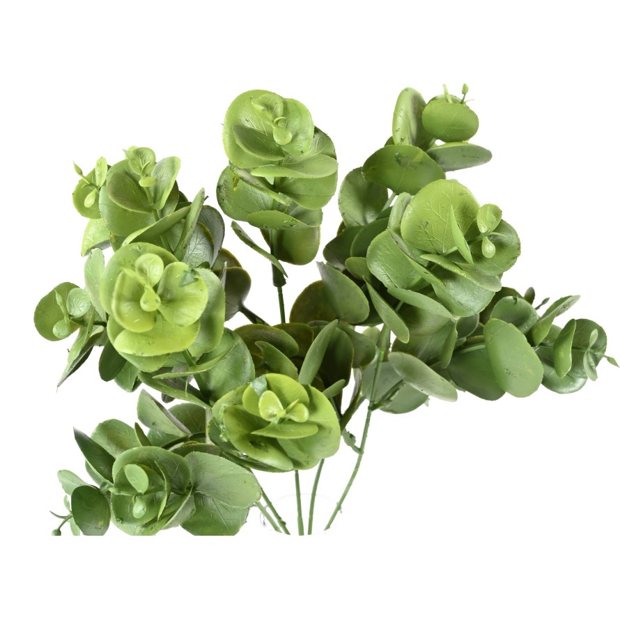 EUKALYPTUS 81 STECKSTAB 30