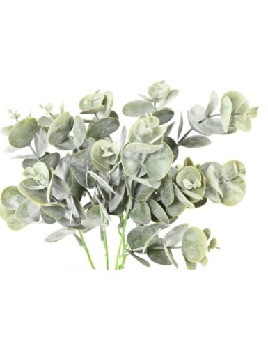 EUCALIPTO SIN MACETA 30