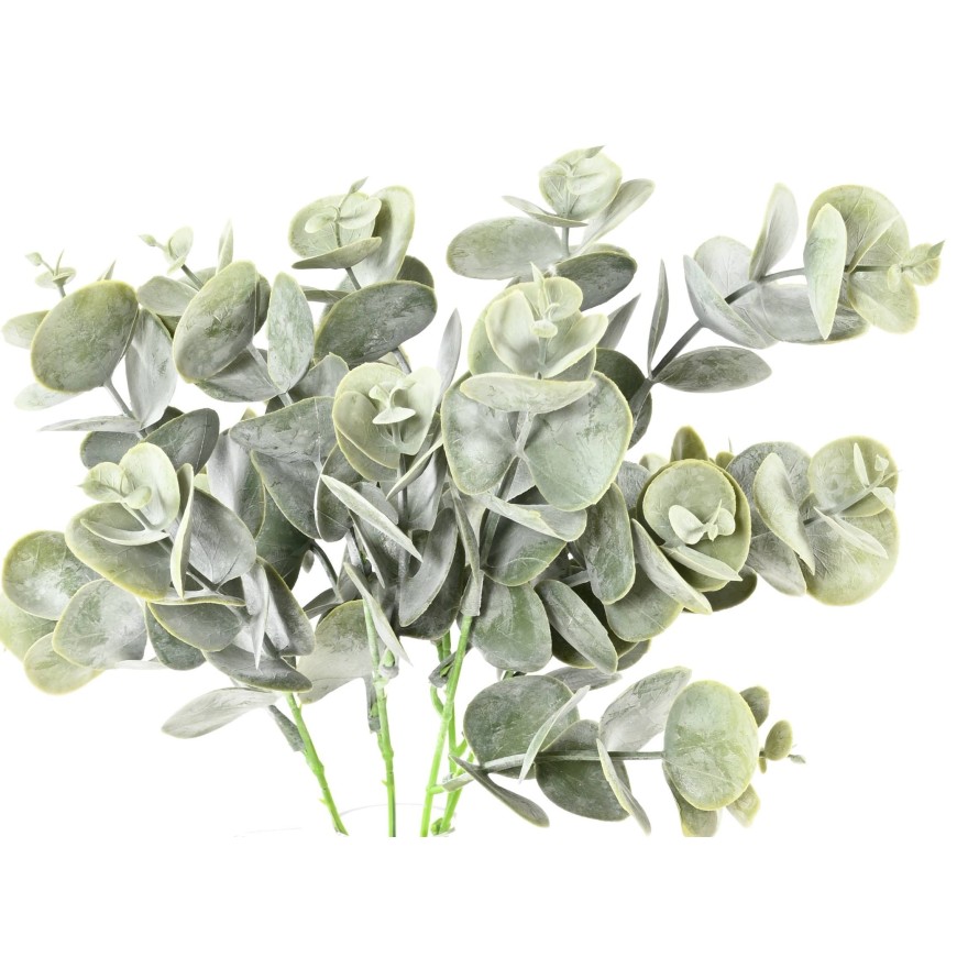 EUKALYPTUS 81 STECKSTAB 30