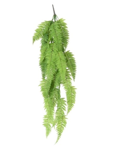 HELECHO COLGANTE LARGE 123