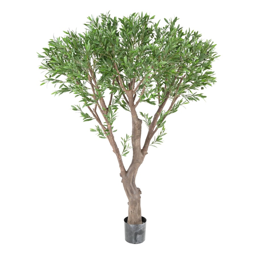 OLIVO GIGANTE PLÁST. 185 RESISTENTE A LOS RAYOS UV