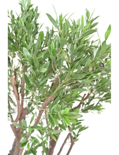 OLIVO GIGANTE PLÁST. 185 RESISTENTE A LOS RAYOS UV