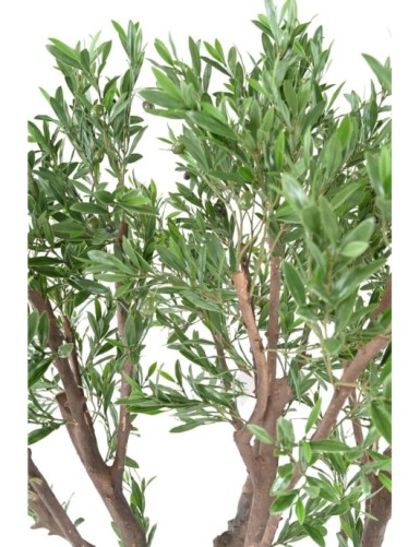 OLIVO GIGANTE PLÁST. 185 RESISTENTE A LOS RAYOS UV