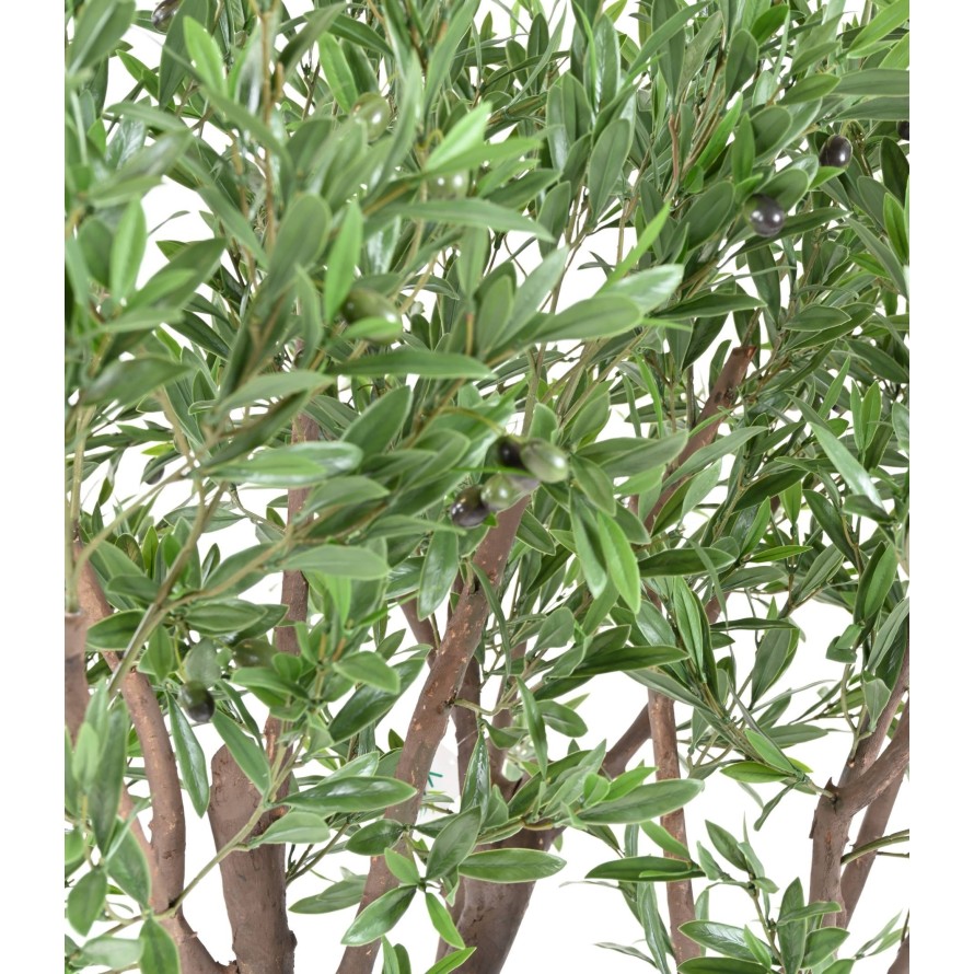 OLIVO GIGANTE PLÁST. 185 RESISTENTE A LOS RAYOS UV