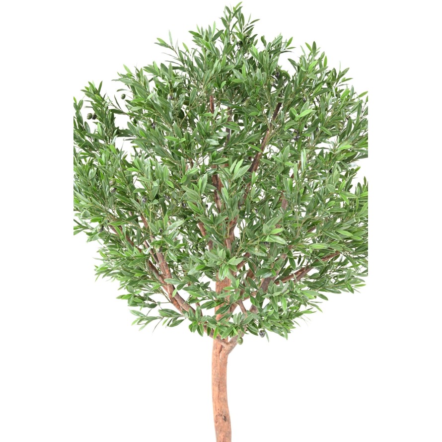 OLIVO CABEZA LARGE PLÁST. 210 RESISTENTE A LOS RAYOS UV