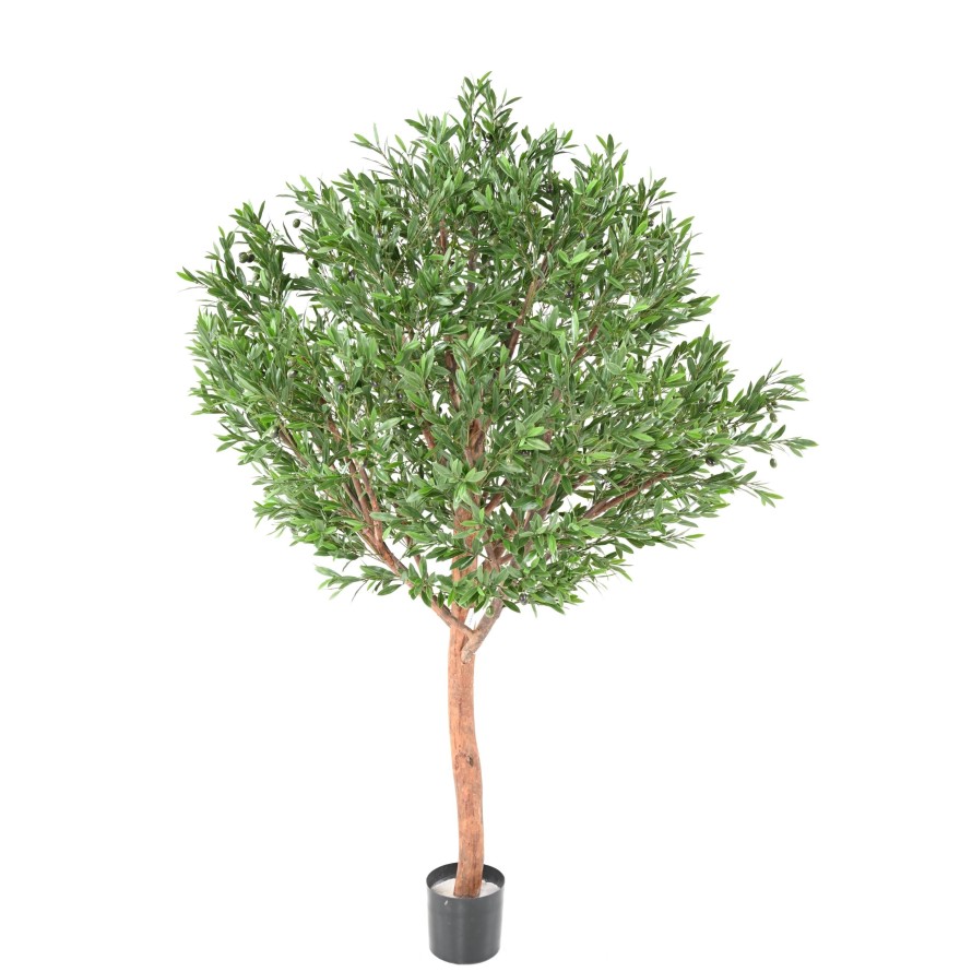 OLIVO CABEZA LARGE PLÁST. 210 RESISTENTE A LOS RAYOS UV