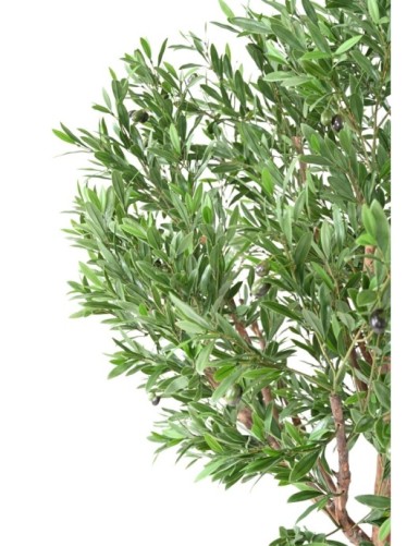 OLIVO CABEZA LARGE PLÁST. 210 RESISTENTE A LOS RAYOS UV