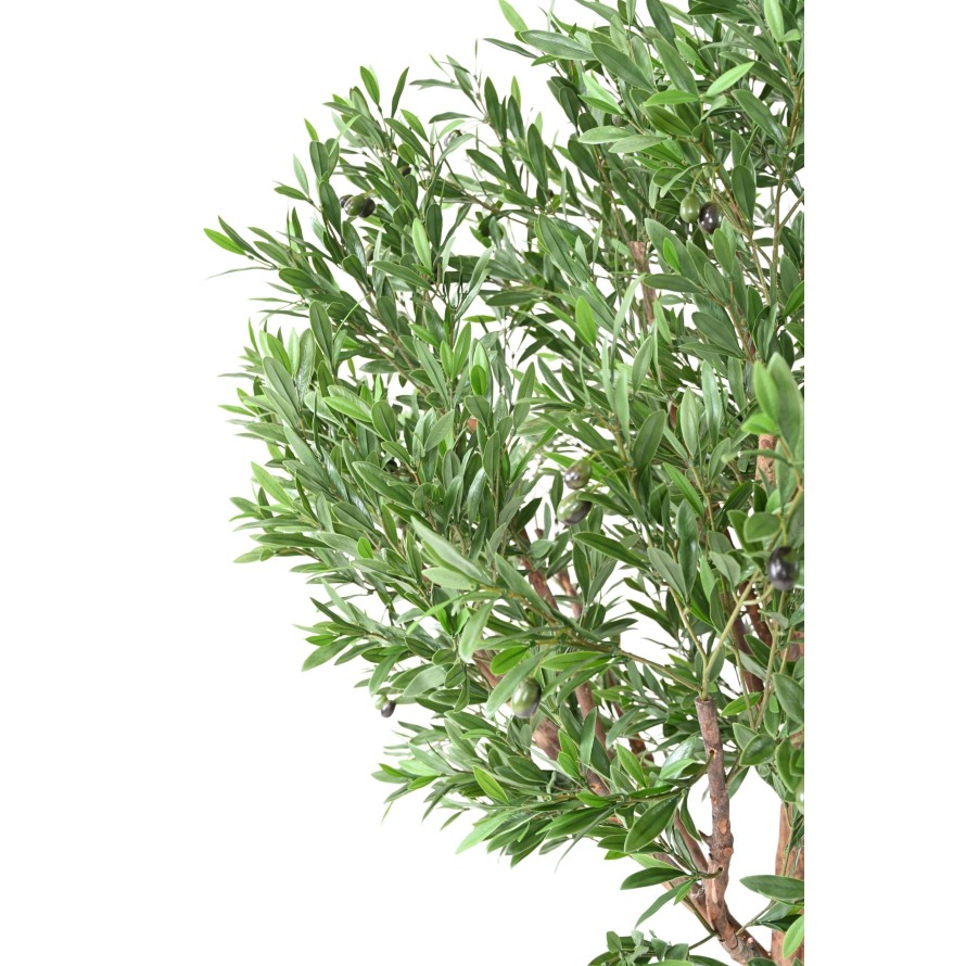 OLIVO CABEZA LARGE PLÁST. 210 RESISTENTE A LOS RAYOS UV