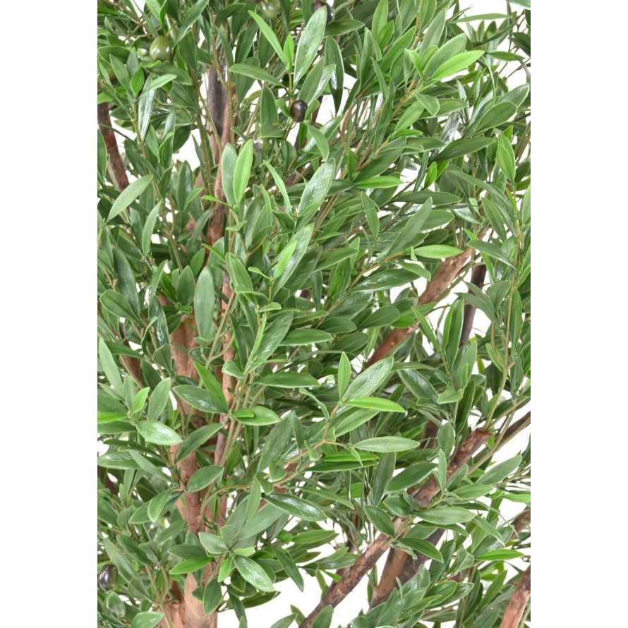 OLIVO CABEZA LARGE PLÁST. 210 RESISTENTE A LOS RAYOS UV