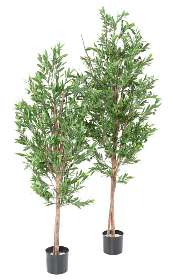 OLIVENBAUM TREE PLAST UV
