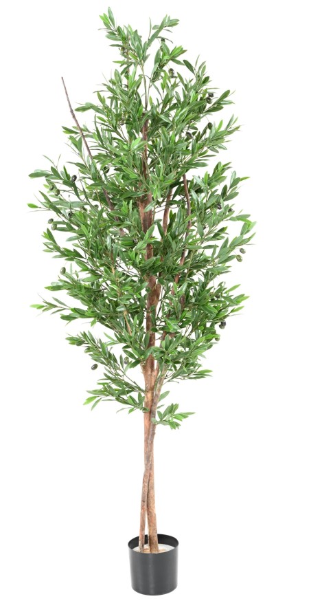 OLIVENBAUM TREE PLAST UV