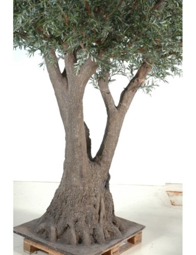 OLIVENBAUM TREE