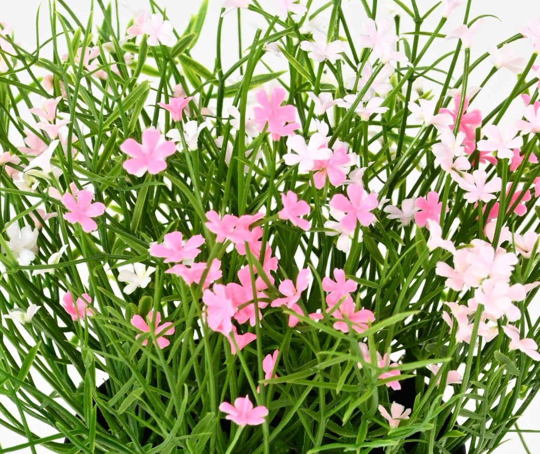 MARGERITE MINI 20 Topf