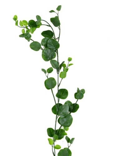 EUCALIPTO GUIRNALDA 160 cm