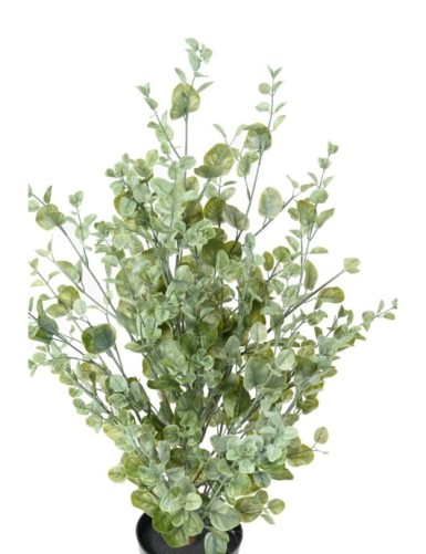 EUCALYPTUS BUSH 90