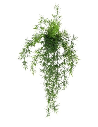 ESPÁRRAGO COLGANTE 55 EN...