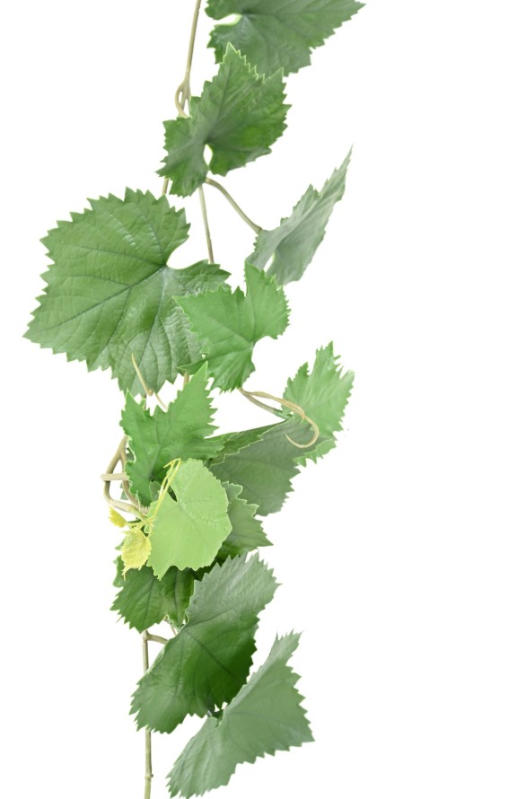 WEINREBE GIRLANDE PLAST UV-BESTÄNDIG 270