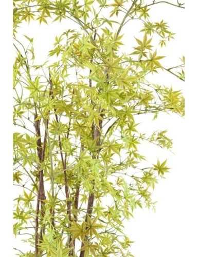 ARALIA PE RESISTENTE A LOS RAYOS UV