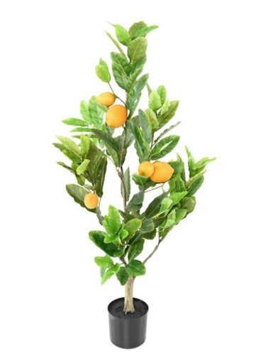 LIMONERO 90 CM