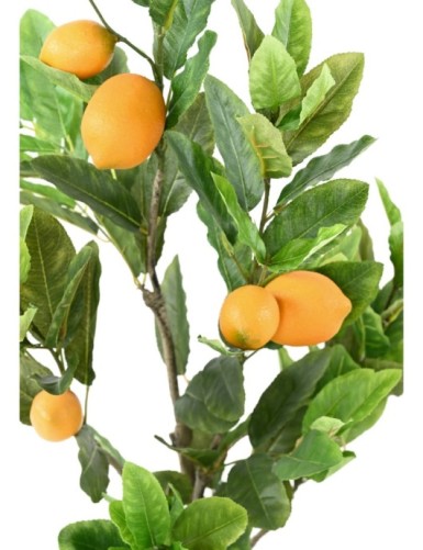 LIMONERO 90 CM