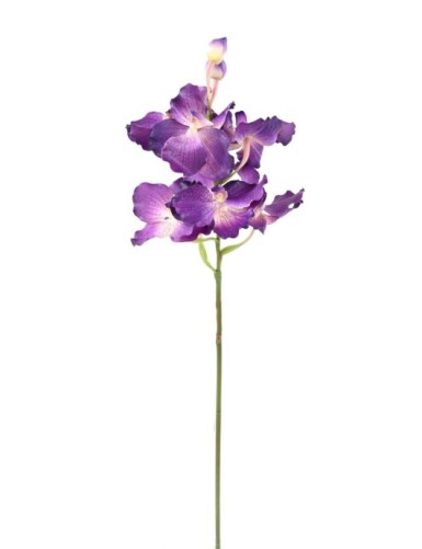 ORQUÍDEA VANDA