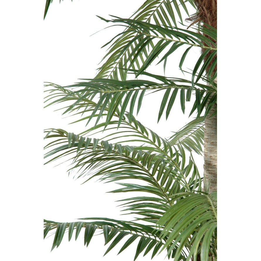 PHOENIX TRES TRONCOS