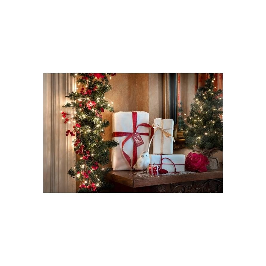 LED GIRLANDE WARMWEISS