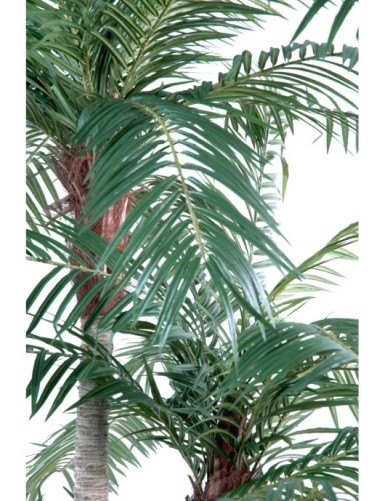 PHOENIX TRES TRONCOS