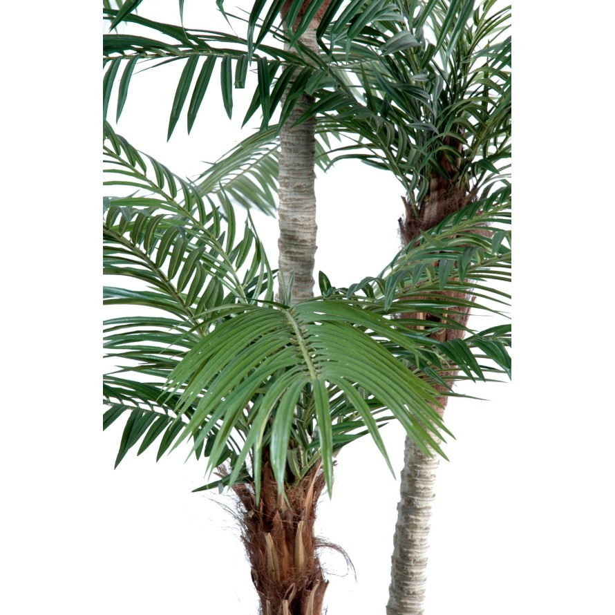 PHOENIX TRES TRONCOS