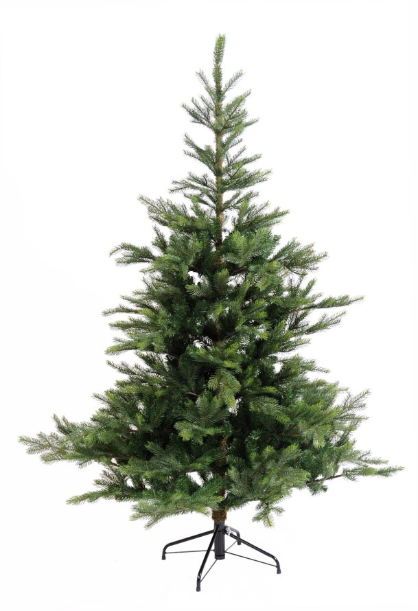 TANNE GRANDIS (Weihnachtsbaum)