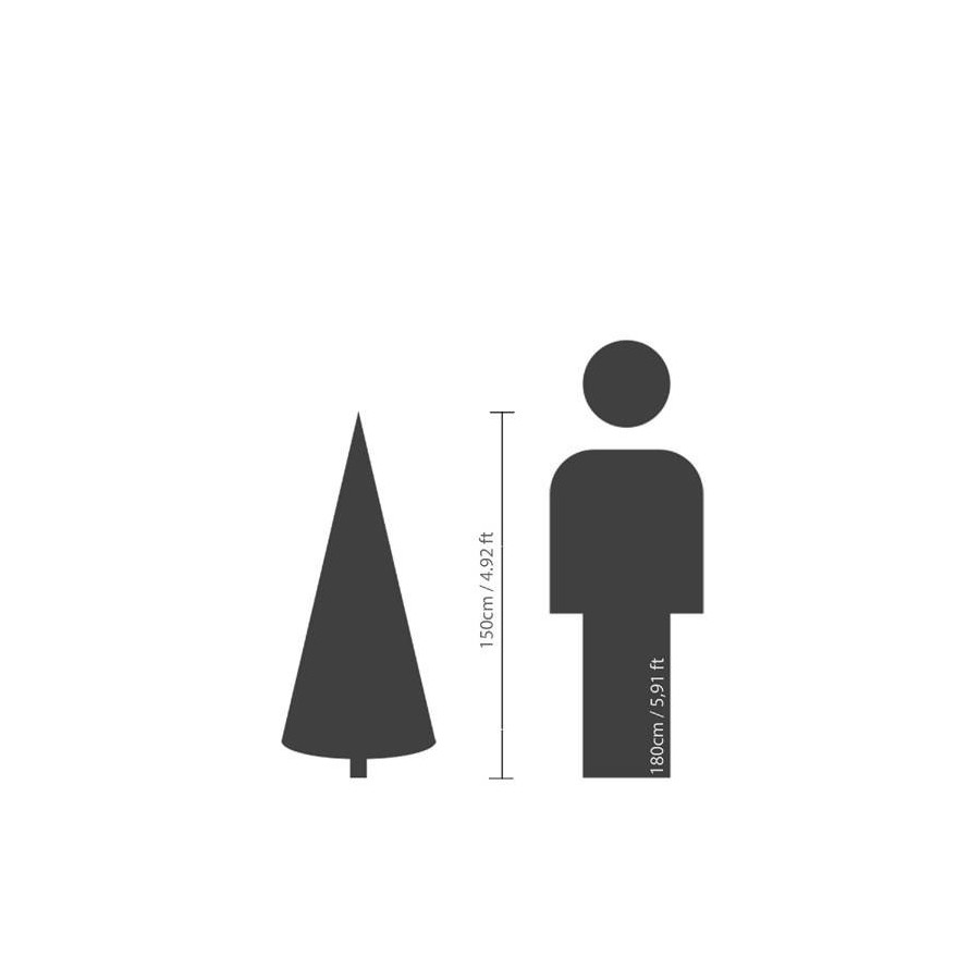 TANNE GRANDIS (Weihnachtsbaum)