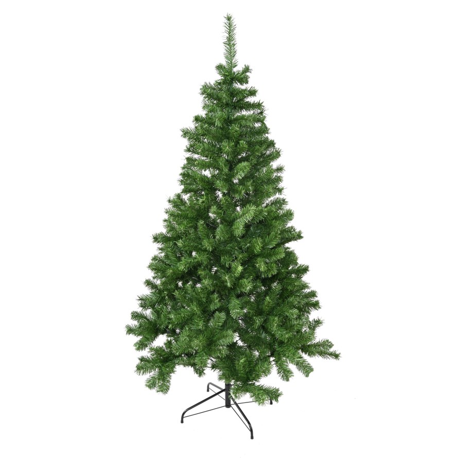 KANADISCHE TANNE (Weihnachtsbaum)