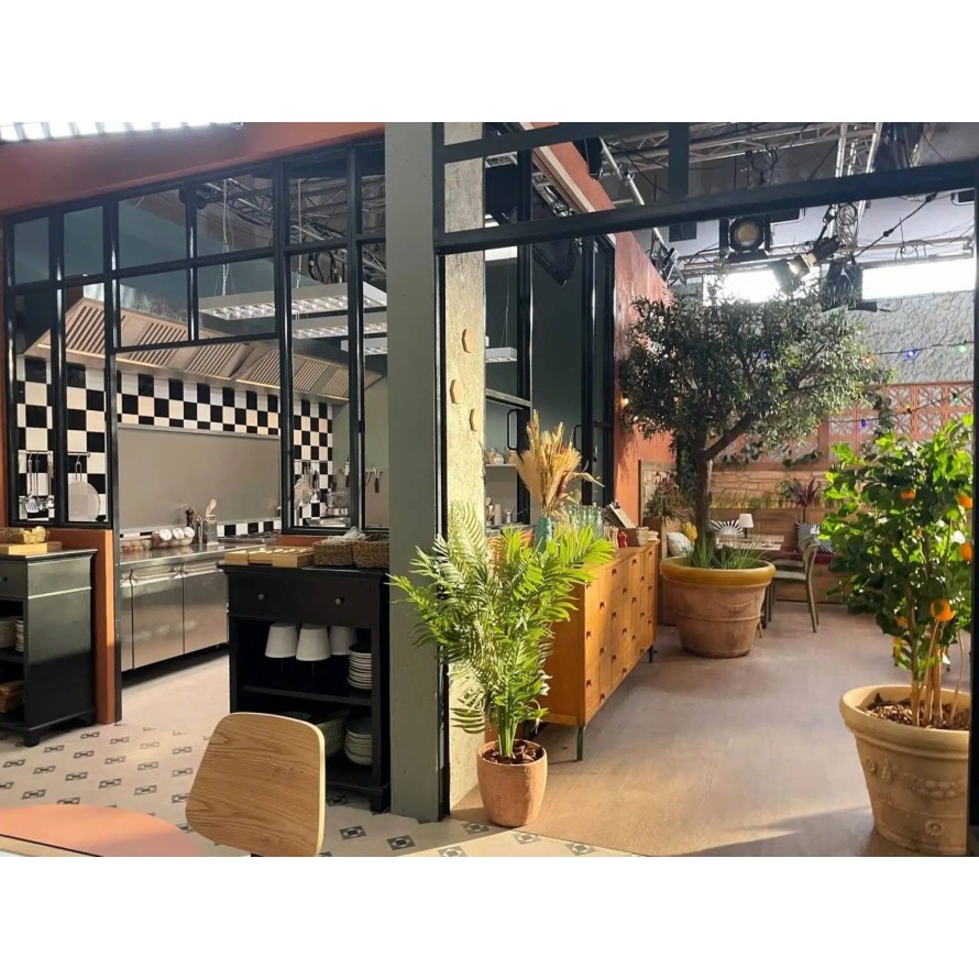 OLIVO CABEZA GIGANTE