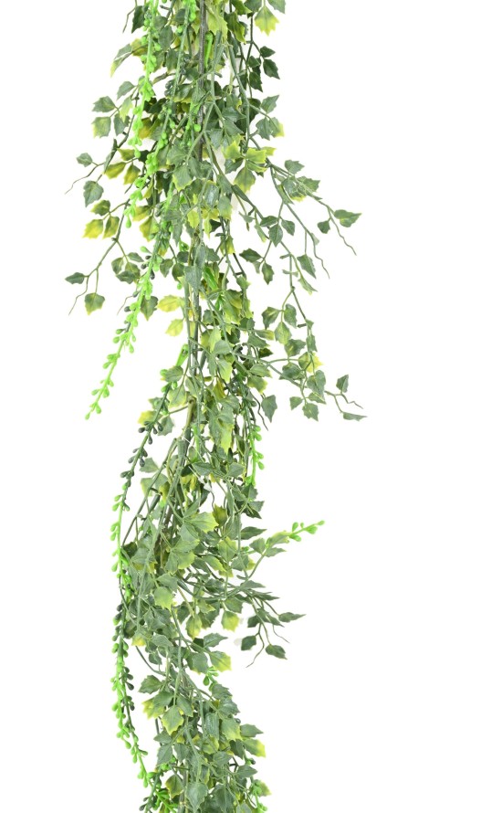 BIGNONIA GUIRNALDA 180