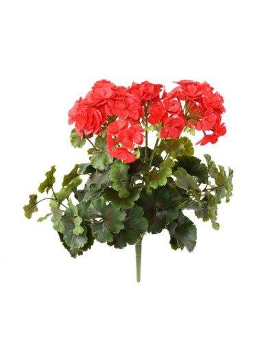 GERANIO RESISTENTE A LOS...