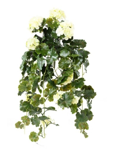 GERANIUM HÄNGEKUNSTPFLANZE UV