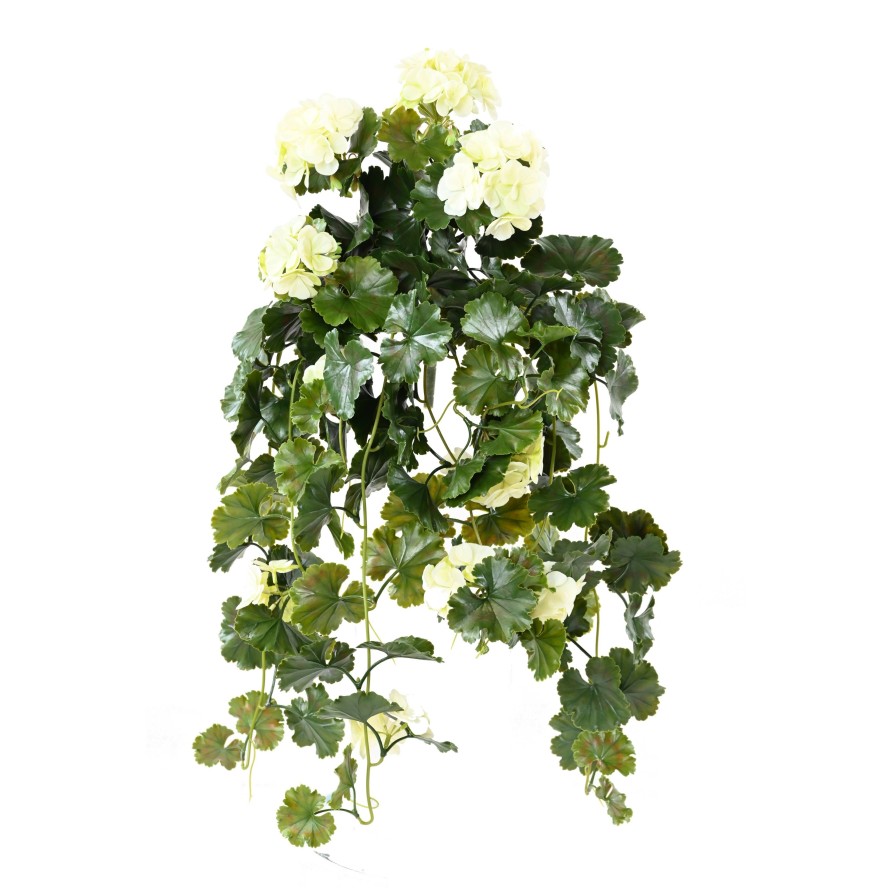 GERANIUM HÄNGEKUNSTPFLANZE UV