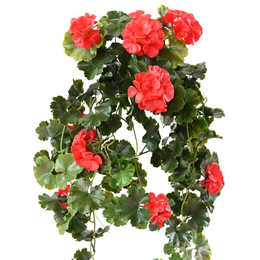 GERANIUM HÄNGEKUNSTPFLANZE UV