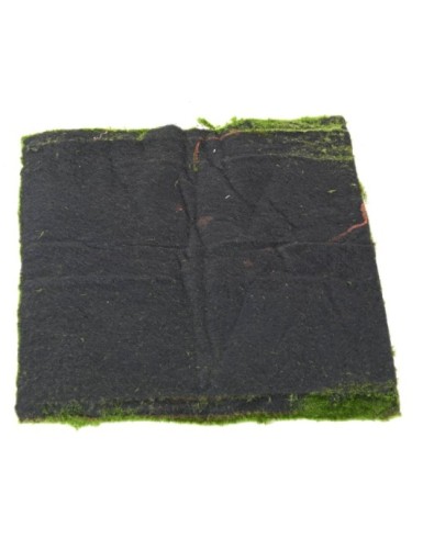 MOSS New WALL PANEL 50*50