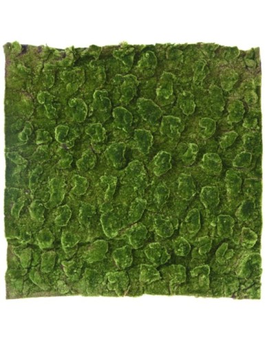 MUSGO Nuevo PANEL 100*100