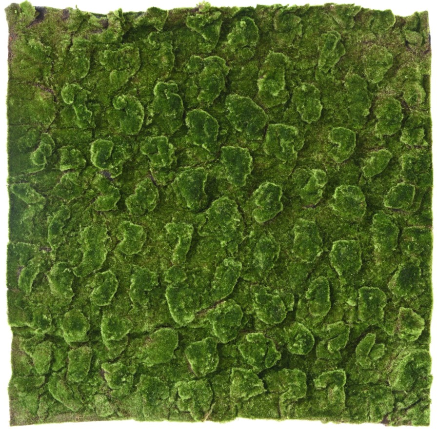 MUSGO Nuevo PANEL 100*100