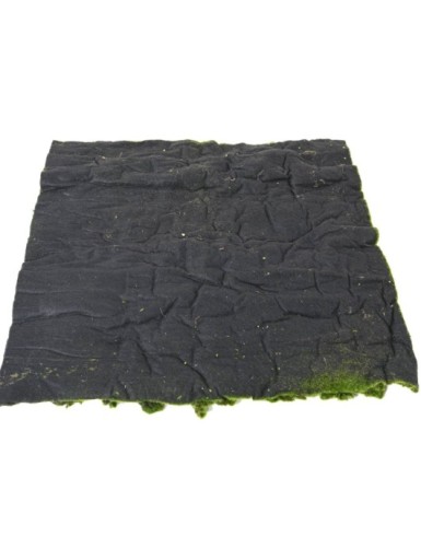 MUSGO Nuevo PANEL 100*100