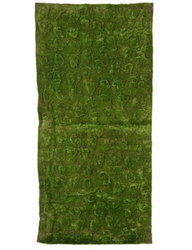 MUSGO Nuevo PANEL 100*200