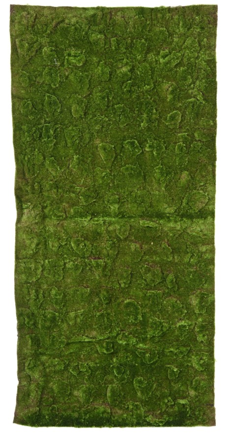 MOOS New PLATTE 100 × 200