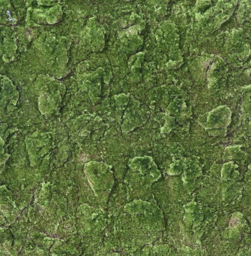 MOOS New PLATTE 100 × 200